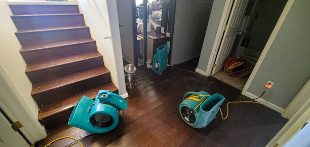 Best Water damage cleanup near me  in Boalsburg, PA