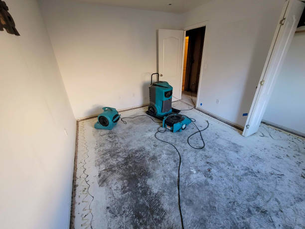 Best Ceiling water damage repair  in Boalsburg, PA