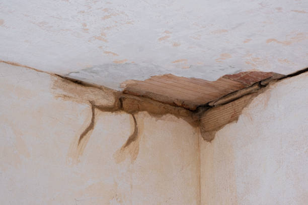 Best Flooded house restoration  in Boalsburg, PA