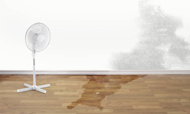 Water damage restoration mold remediation in Boalsburg, PA