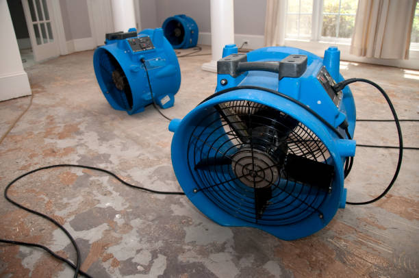 Best Sewage cleanup and water damage restoration  in Boalsburg, PA