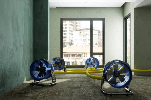 Best Water damage restoration mold remediation  in Boalsburg, PA